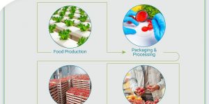 A Complete Guide to Food Supply Chain
