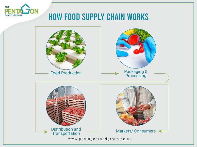You are currently viewing A Complete Guide to Food Supply Chain