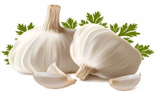 Raw Garlic - One of immune boosting food