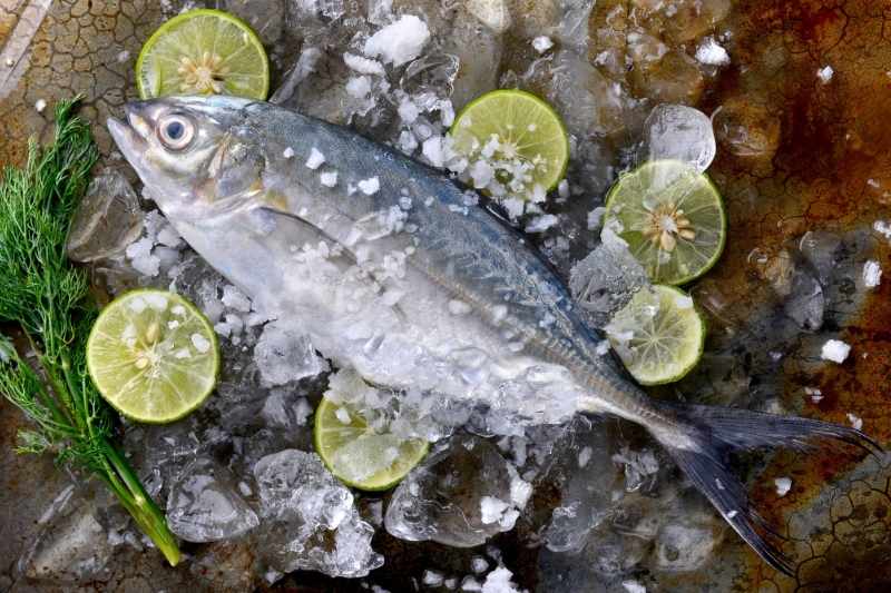 benefits of frozen fish