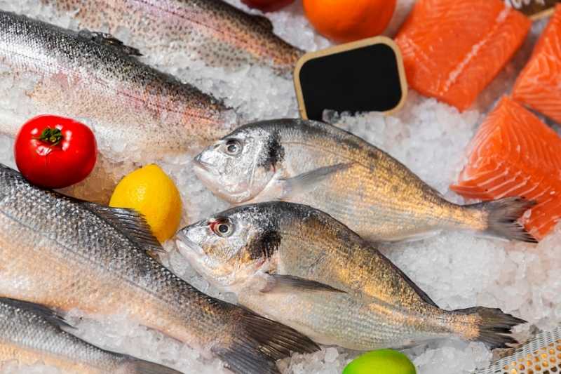 You are currently viewing Everything You Need to Know About Frozen Fish