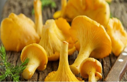 mushrooms - One of immune boosting foods
