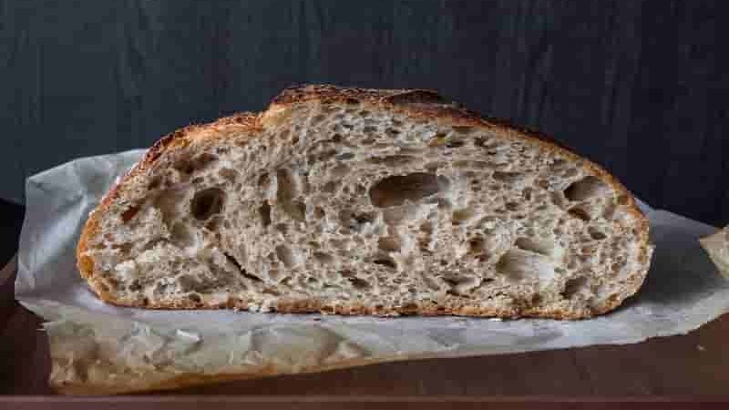 cibata bread buns