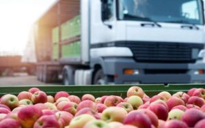 Read more about the article Food Distribution and Its Channels