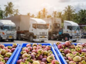 issues and challenges for every food storage and distribution company must consider