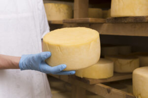 Read more about the article Advantages of Choosing the best Prima Cheese Supplier for your Restaurant