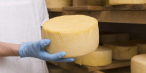 Advantages of Choosing the best Prima Cheese Supplier for your Restaurant